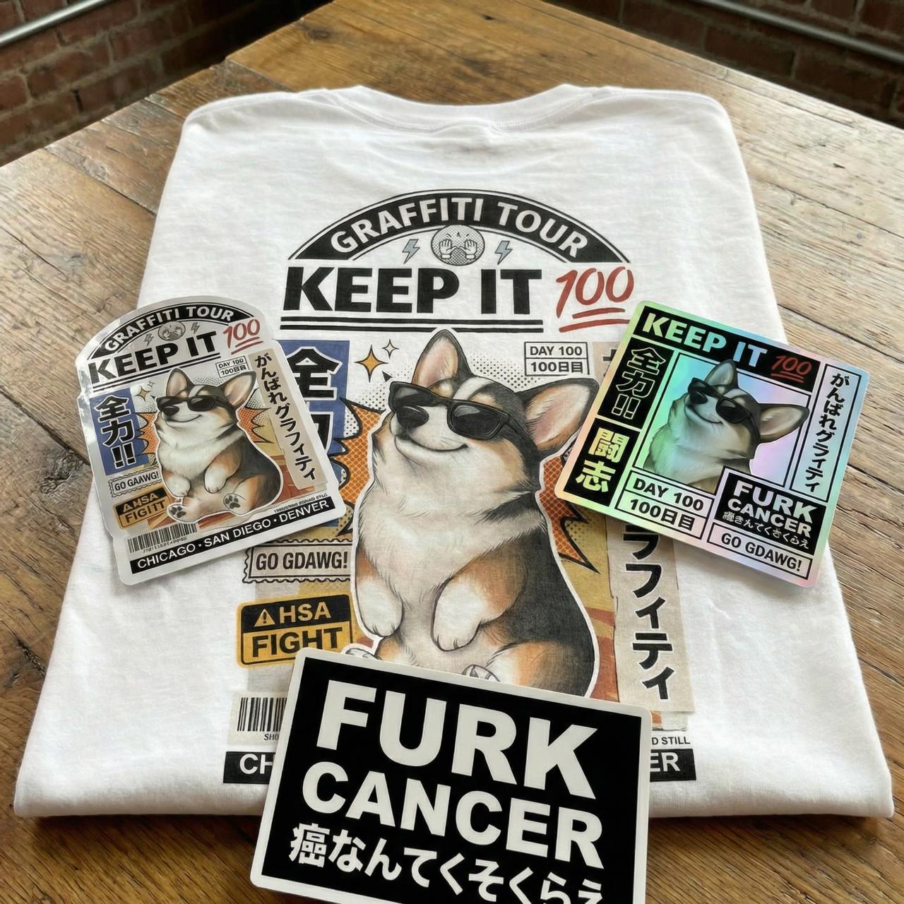 Day 100 Bundle (T-Shirt + 3 Stickers) - Private – Brady & Graffiti