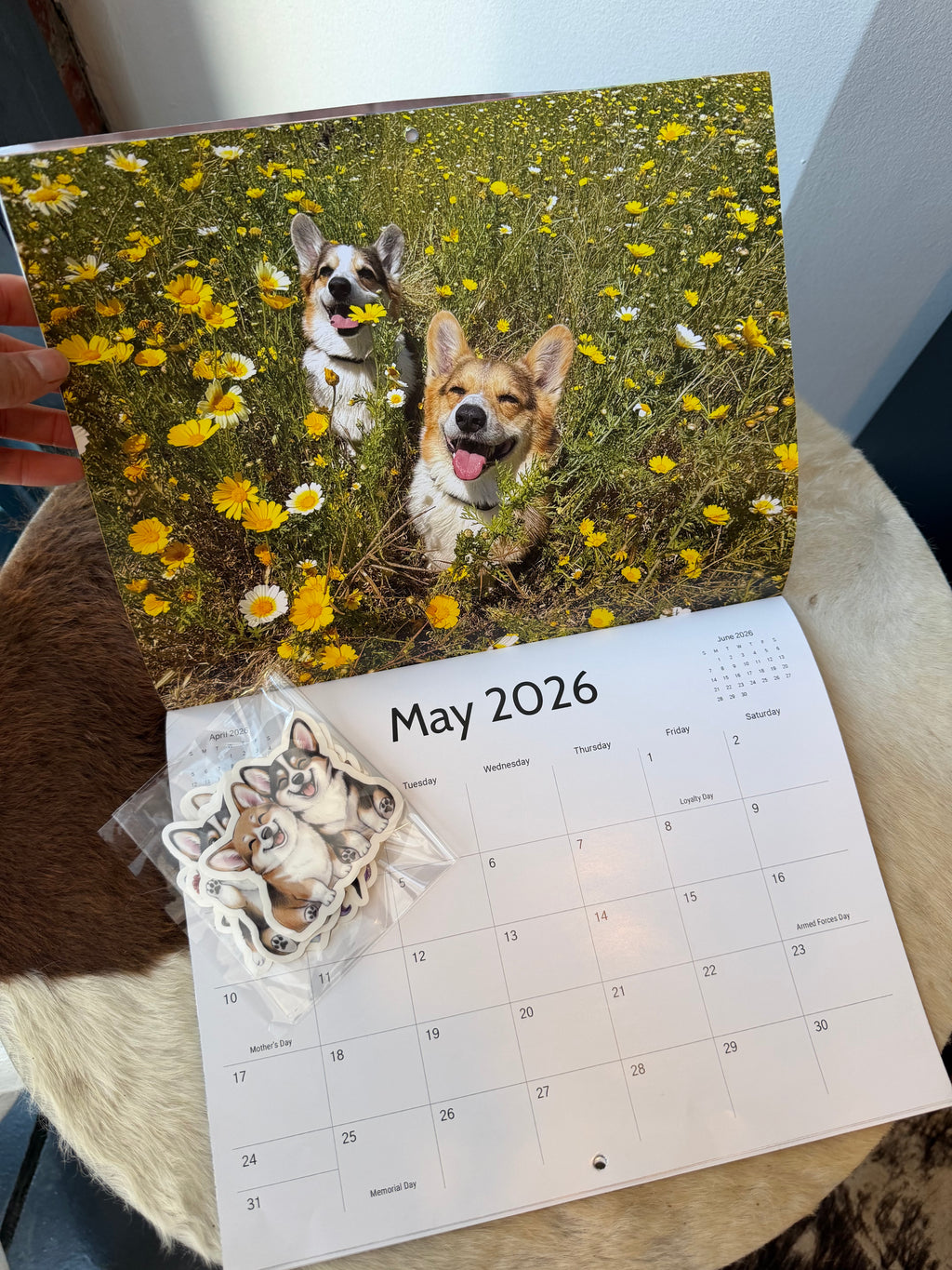 Calendar + Sticker Pack Bundle (35% off)